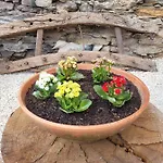 Alva Bed & Breakfast Coja