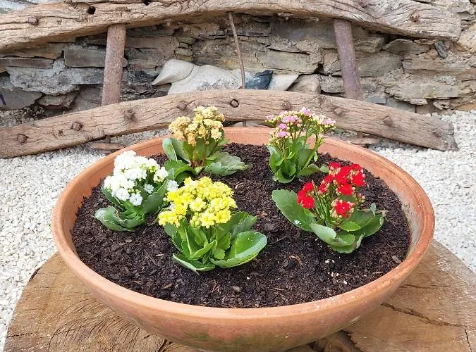 Alva Отель типа 